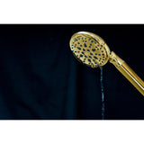 Regal 9-Function Hand Shower with Power Wash
