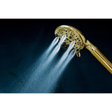 Regal 9-Function Hand Shower with Power Wash