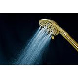 Regal 9-Function Hand Shower with Power Wash