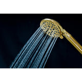 Regal 9-Function Hand Shower with Power Wash