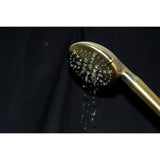 Regal 9-Function Hand Shower with Power Wash