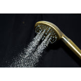 Regal 9-Function Hand Shower with Power Wash