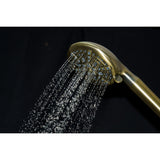 Regal 9-Function Hand Shower with Power Wash
