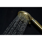 Regal 9-Function Hand Shower with Power Wash