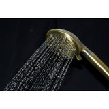 Regal 9-Function Hand Shower with Power Wash