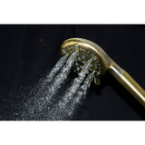 Regal 9-Function Hand Shower with Power Wash