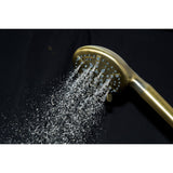 Regal 9-Function Hand Shower with Power Wash