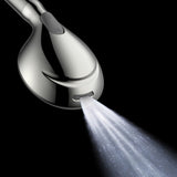 Regal 9-Function Hand Shower with Power Wash