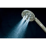 Regal 9-Function Hand Shower with Power Wash