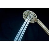 Regal 9-Function Hand Shower with Power Wash