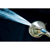 Regal 9-Function Hand Shower with Power Wash