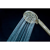 Regal 9-Function Hand Shower with Power Wash