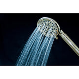 Regal 9-Function Hand Shower with Power Wash
