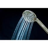 Regal 9-Function Hand Shower with Power Wash