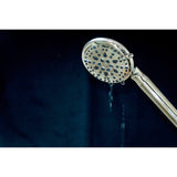 Regal 9-Function Hand Shower with Power Wash