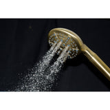 Regal 9-Function Hand Shower with Power Wash