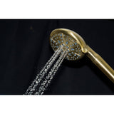 Regal 9-Function Hand Shower with Power Wash