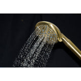 Regal 9-Function Hand Shower with Power Wash