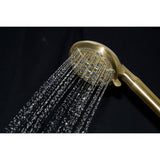Regal 9-Function Hand Shower with Power Wash