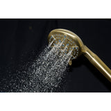 Regal 9-Function Hand Shower with Power Wash