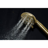 Regal 9-Function Hand Shower with Power Wash
