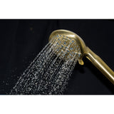 Regal 9-Function Hand Shower with Power Wash