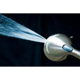 Regal 9-Function Hand Shower with Power Wash