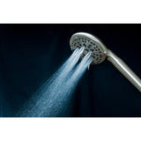 Regal 9-Function Hand Shower with Power Wash