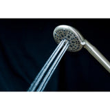 Regal 9-Function Hand Shower with Power Wash