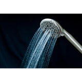 Regal 9-Function Hand Shower with Power Wash