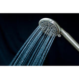 Regal 9-Function Hand Shower with Power Wash