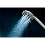 Regal 9-Function Hand Shower with Power Wash