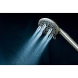 Regal 9-Function Hand Shower with Power Wash