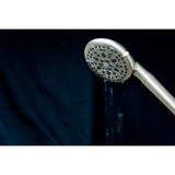 Regal 9-Function Hand Shower with Power Wash