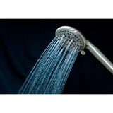 Regal 9-Function Hand Shower with Power Wash
