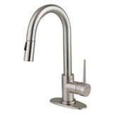 New York One-Handle 1-Hole Deck Mount Bar Faucet with Pull Down Sprayer