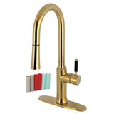 Kaiser Single-Handle Pull-Down Kitchen Faucet