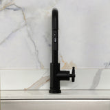 Fuller Single-Handle Pull-Down Kitchen Faucet