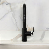 Whitaker Single-Handle Pull-Down Kitchen Faucet