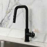 Wendell Single-Handle Pull-Down Kitchen Faucet