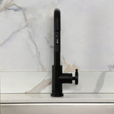 Belknap Single-Handle Pull-Down Kitchen Faucet
