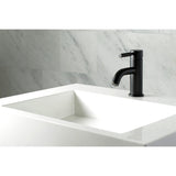 Kaiser One-Handle 1-Hole Bathroom Faucet with Push Pop-Up Drain