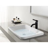 Kaiser One-Handle 1-Hole Bathroom Faucet with Push Pop-Up Drain