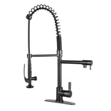 Continental Single-Handle 1-Hole Deck Mount Pre-Rinse Kitchen Faucet