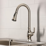Whitaker Single-Handle Pull-Down Kitchen Faucet