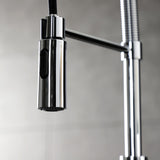Continental Single-Handle 1-Hole Deck Mount Pre-Rinse Kitchen Faucet