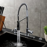 Continental Single-Handle 1-Hole Deck Mount Pre-Rinse Kitchen Faucet