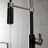 Continental Single-Handle 1-Hole Deck Mount Pre-Rinse Kitchen Faucet