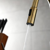 Continental Single-Handle Pull-Down Kitchen Faucet