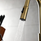 Continental Single-Handle Pull-Down Kitchen Faucet